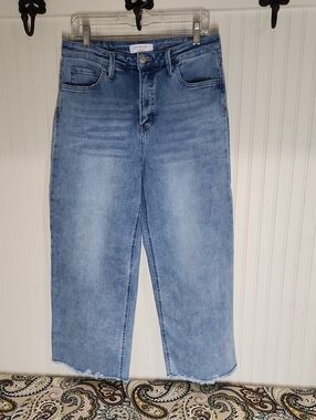 Lovervet Light Blue High-Waist Straight Crop Jeans